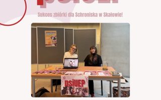 Warsztaty Akademii Kariery w Compertus
